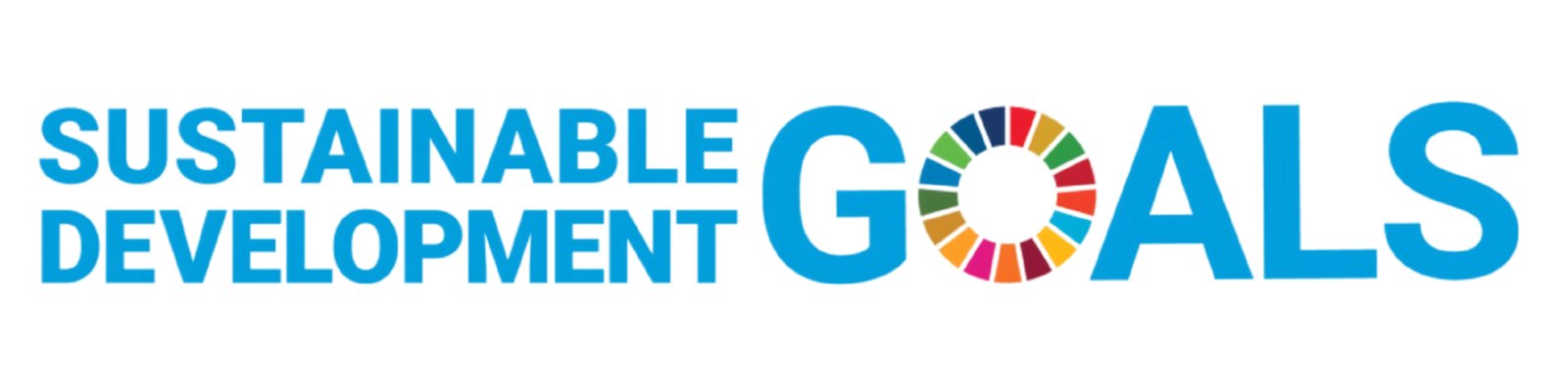 SDG Logo